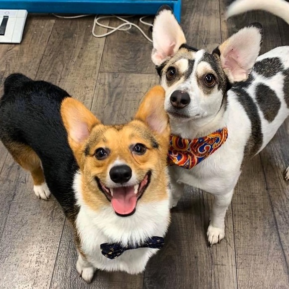 MEET YOUR POSHER, Emily W. 🎀 - Picture 6 of 8